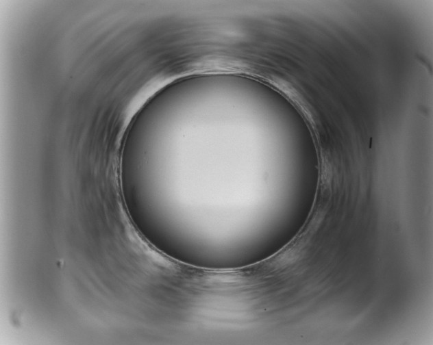 X0000102031486200807251340