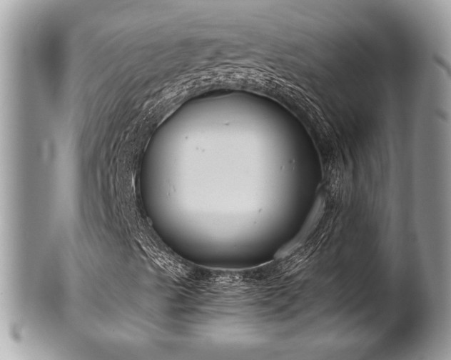 X0000102031489200807251339