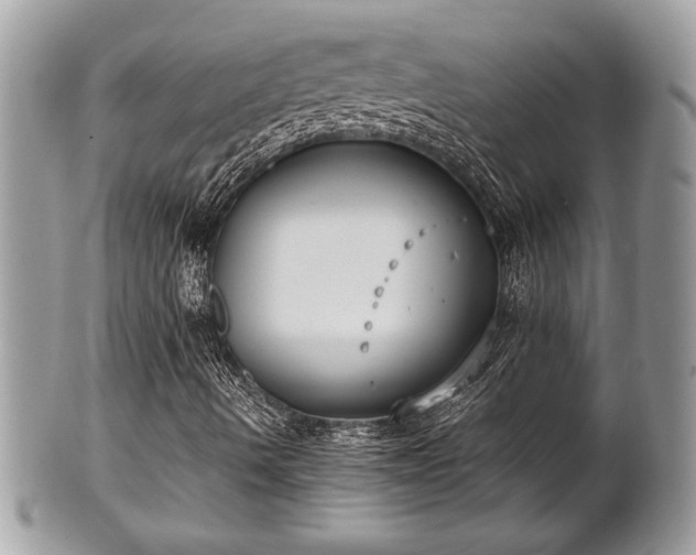 X0000102031490200807251339