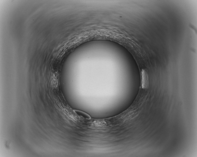 X0000102031491200807251339