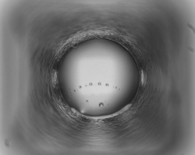 X0000102031492200807251339