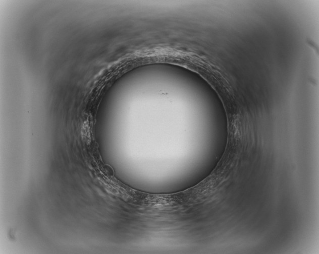 X0000102031493200807251339