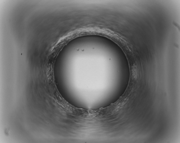 X0000102031494200807251339