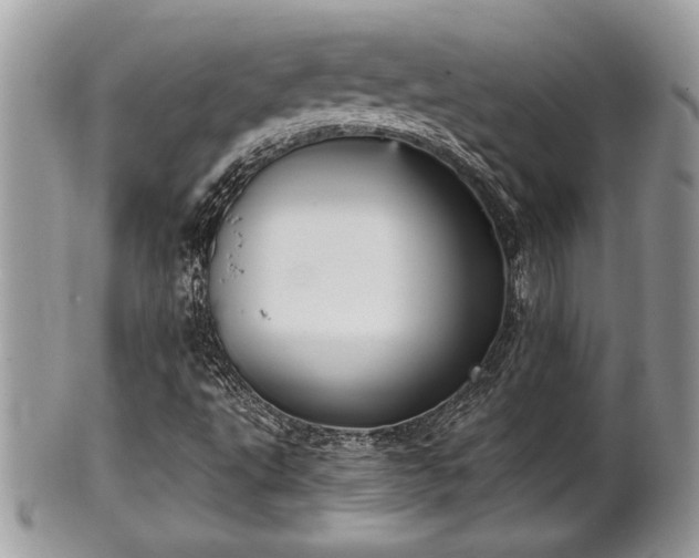 X0000102031495200807251339