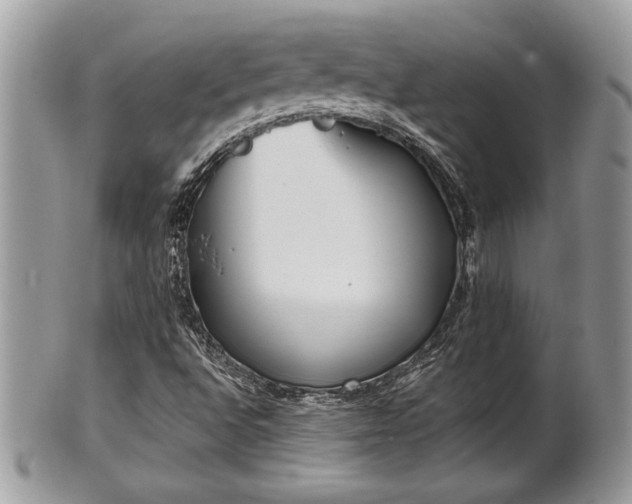 X0000102031496200807251339