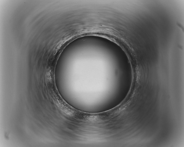 X0000102031497200807251339