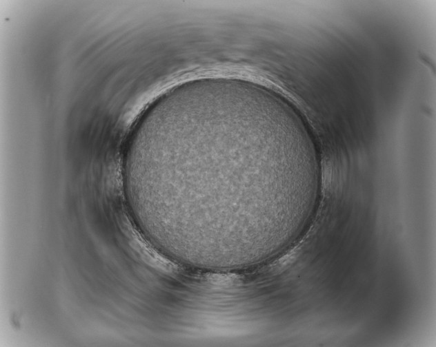 X0000102031498200807251339