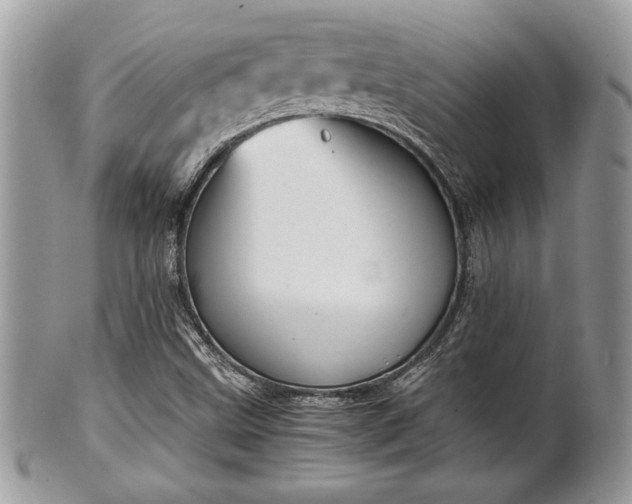 X0000102031499200807251339