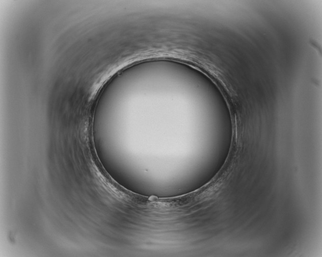 X0000102031500200807251339