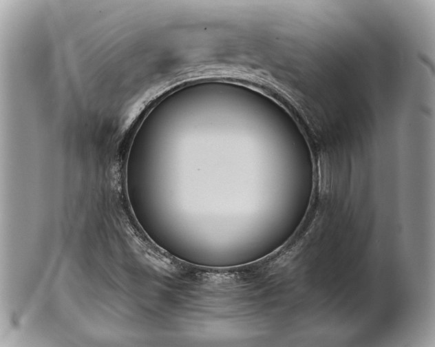 X0000102031501200807251339