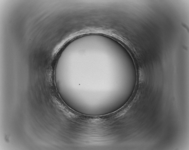 X0000102031502200807251340