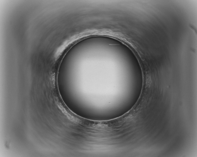 X0000102031503200807251340