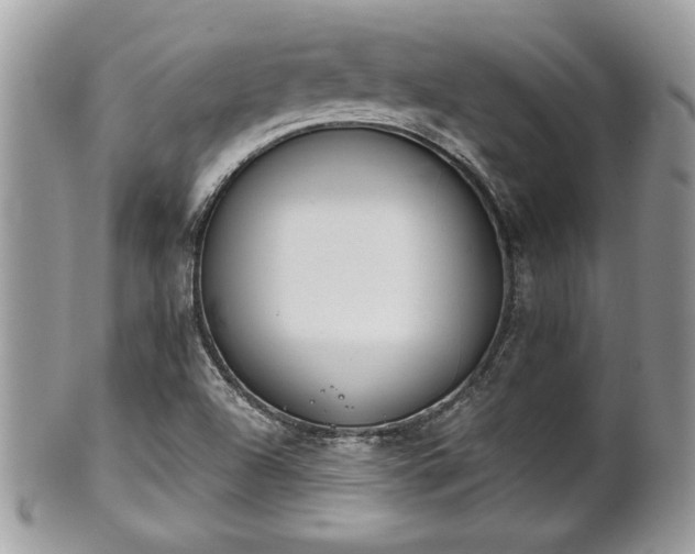 X0000102031504200807251340