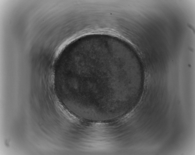 X0000102031506200807251340