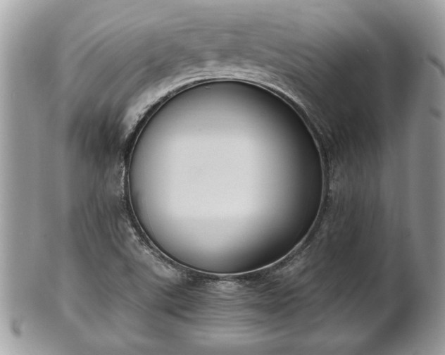 X0000102031507200807251340