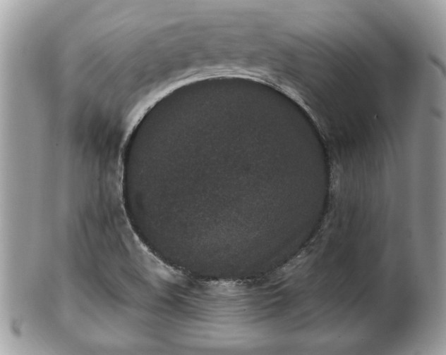 X0000102031508200807251340