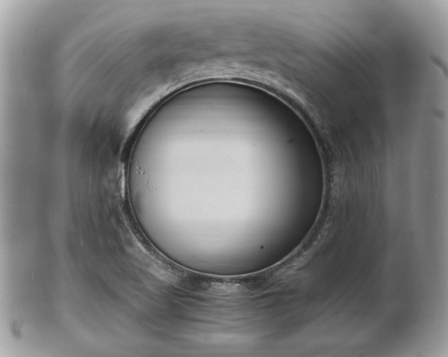 X0000102031509200807251340