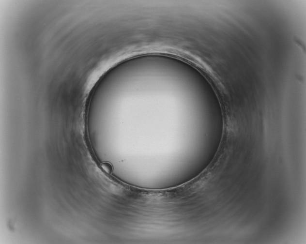 X0000102031512200807251340