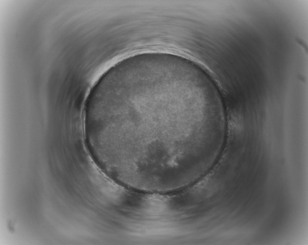 X0000102031514200807251340