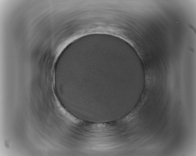 X0000102031515200807251340