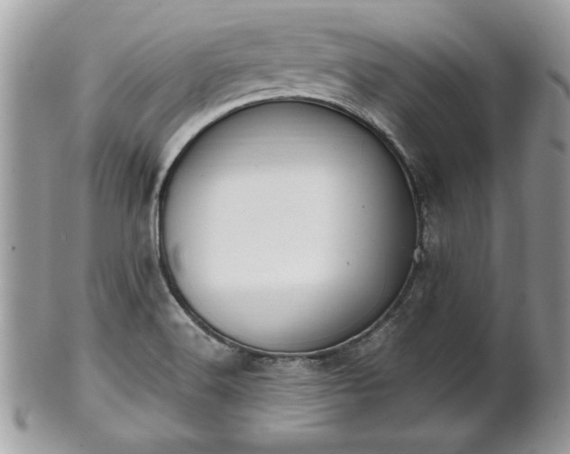 X0000102031516200807251340