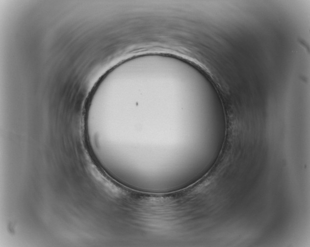 X0000102031518200807251340