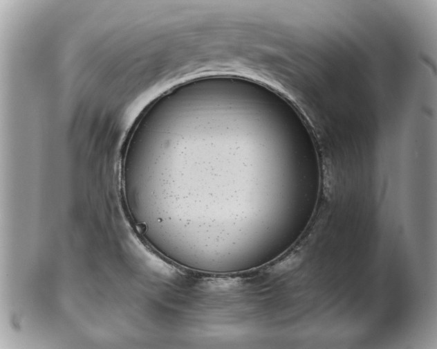 X0000102031519200807251340