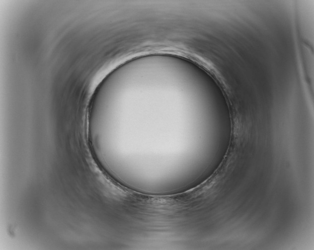 X0000102031520200807251340