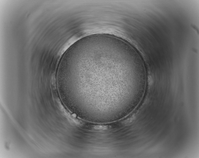 X0000102031521200807251340