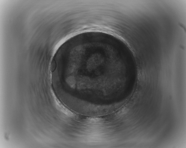 X0000102031522200807251340