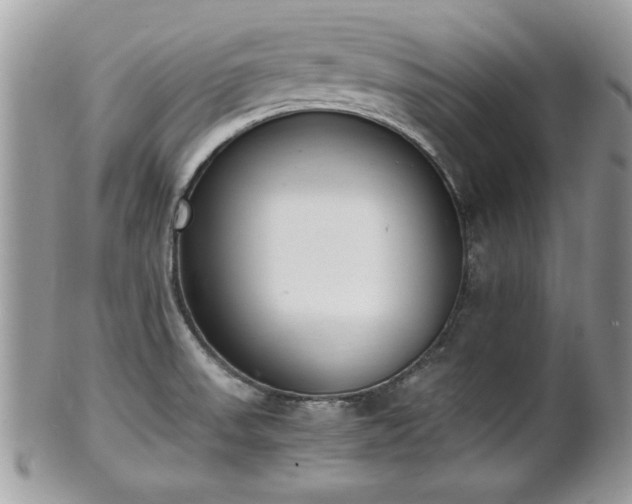 X0000102031523200807251340