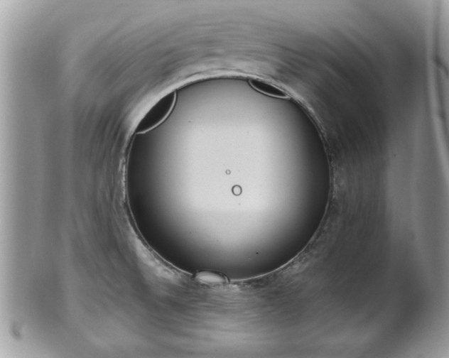 X0000102031524200807251340