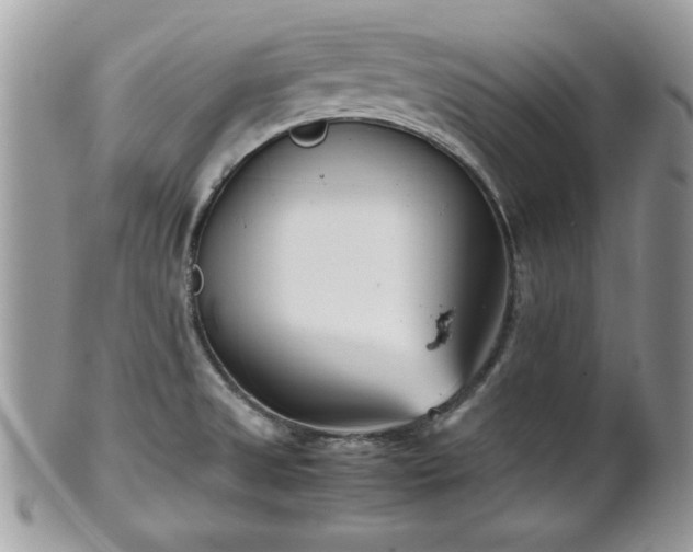 X0000102031525200807251340