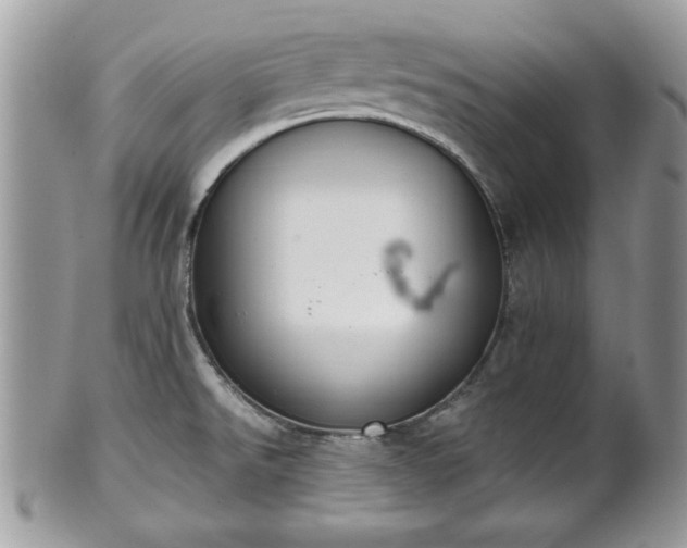 X0000102031526200807251340