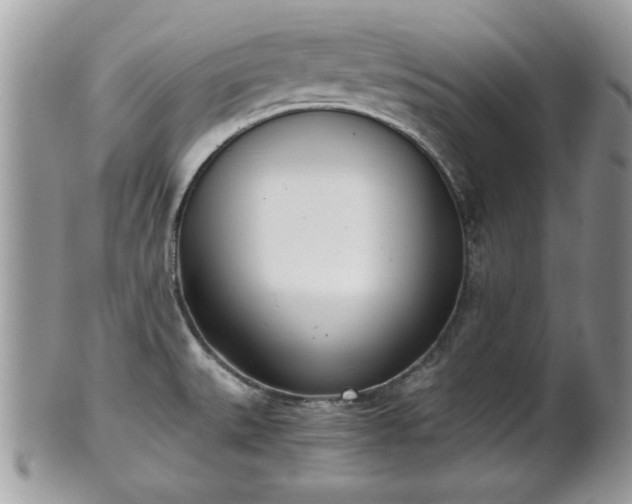 X0000102031527200807251340