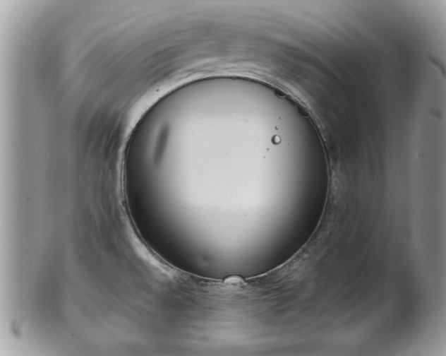 X0000102031528200807251340