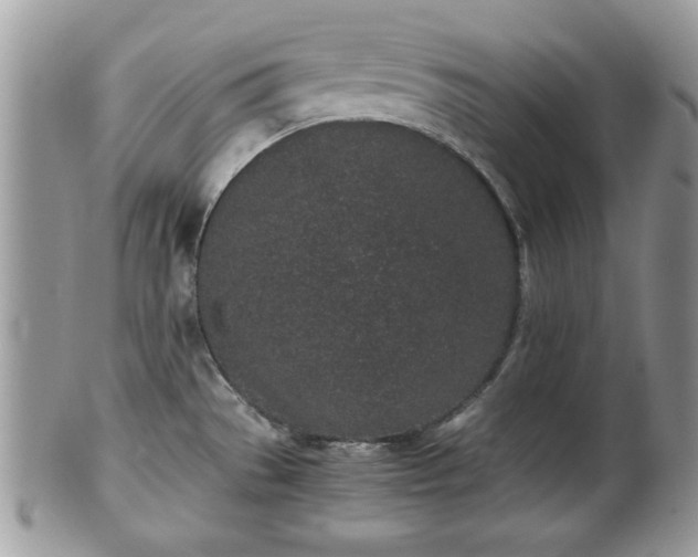 X0000102031529200807251340