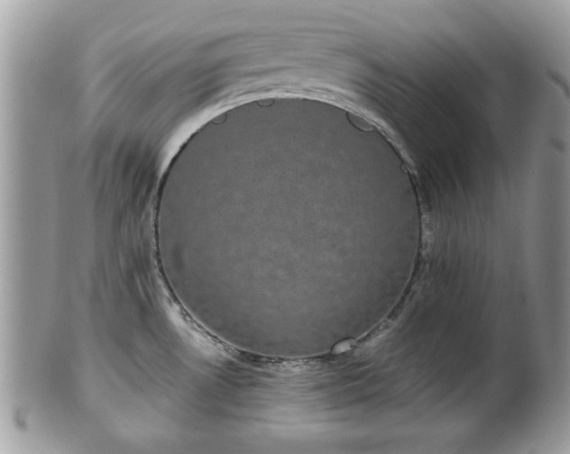 X0000102031530200807251340