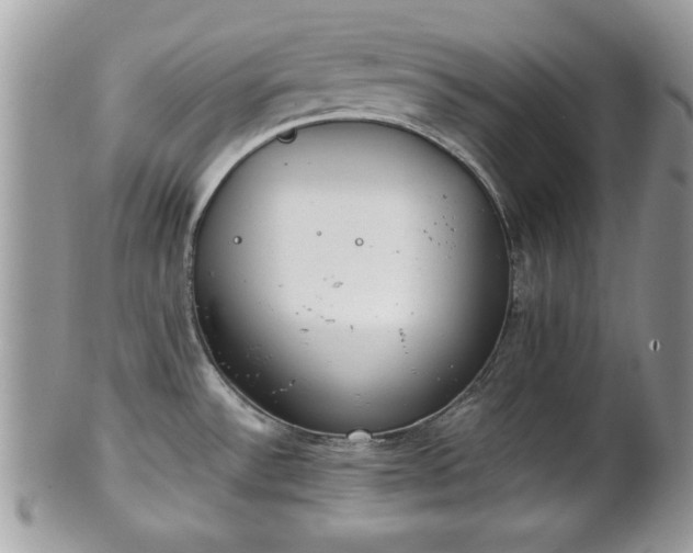 X0000102031532200807251340