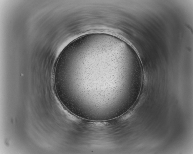 X0000102031533200807251340