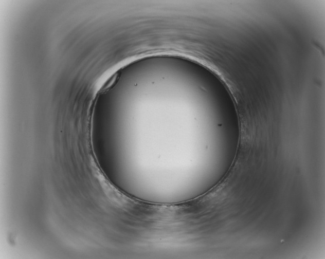 X0000102031534200807251340