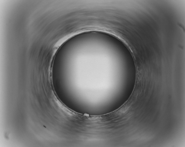 X0000102031535200807251340