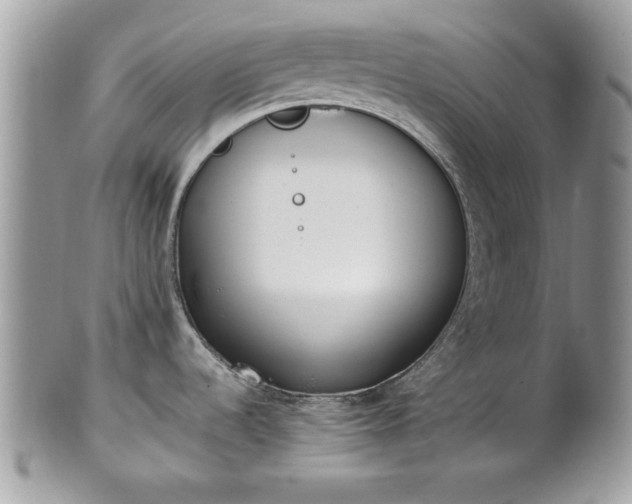 X0000102031536200807251340