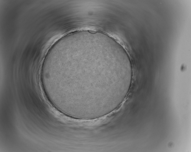 X0000102030001200808011458