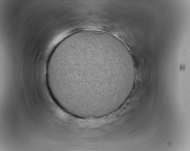 X0000102030005200808011458