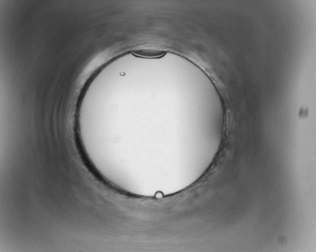 X0000102030007200808011458