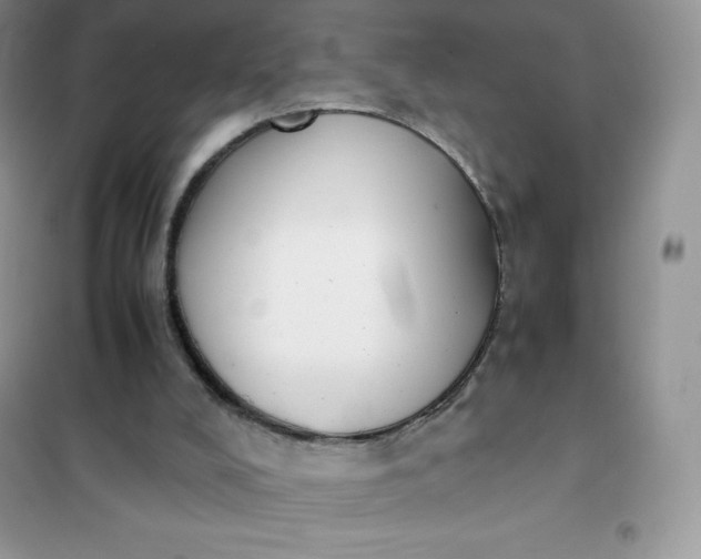 X0000102030008200808011458