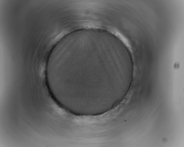 X0000102030009200808011458