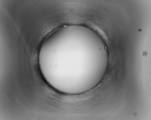 X0000102030017200808011458