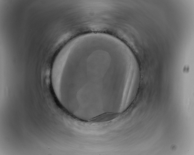 X0000102030019200808011458